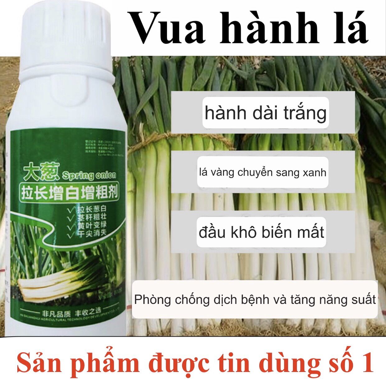 Chế phẩm thúc đẩy nở củ, thân mập mạp, xanh lá 500ml
