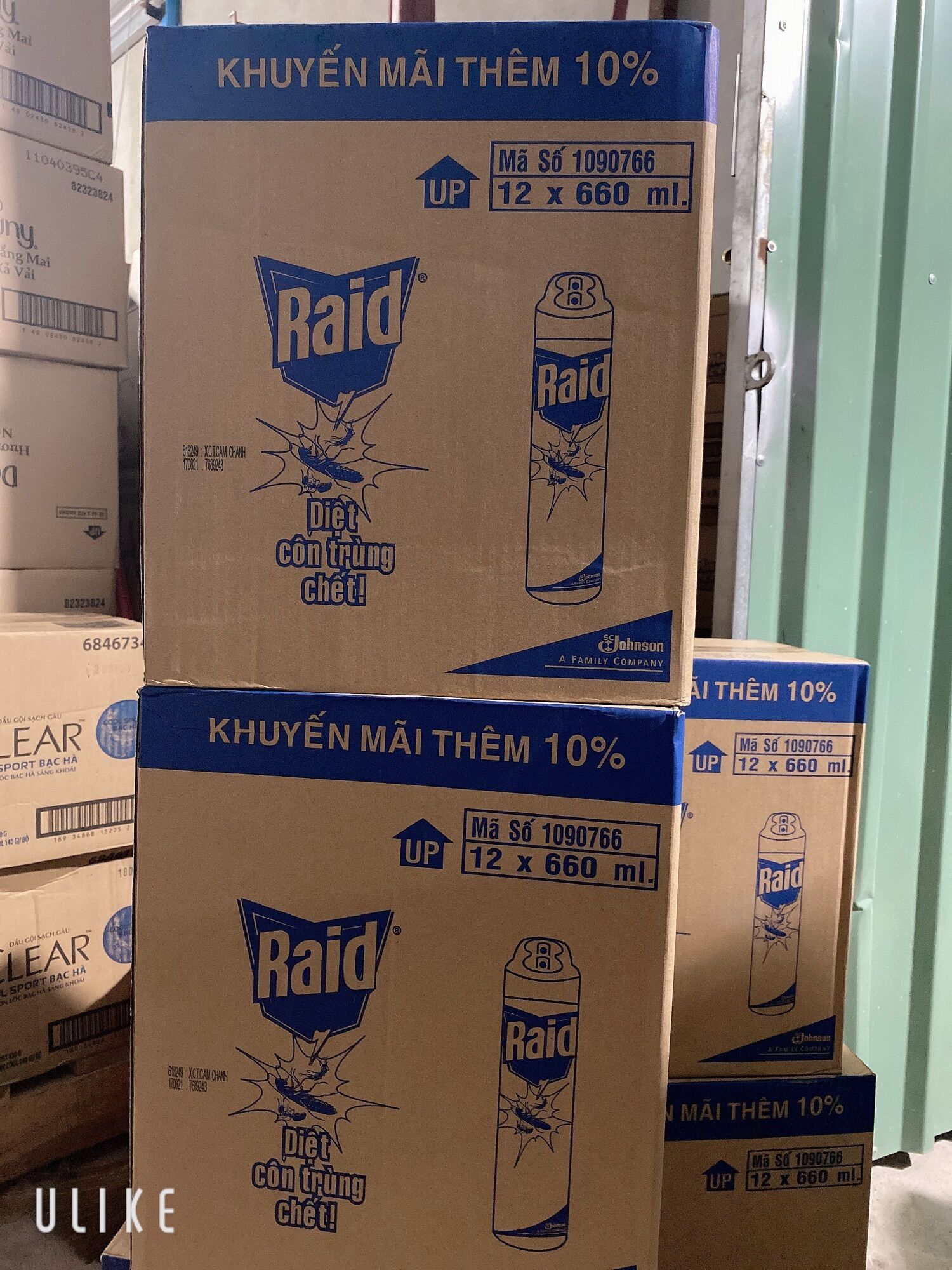 RAID Bình xịt côn trùng k mùi