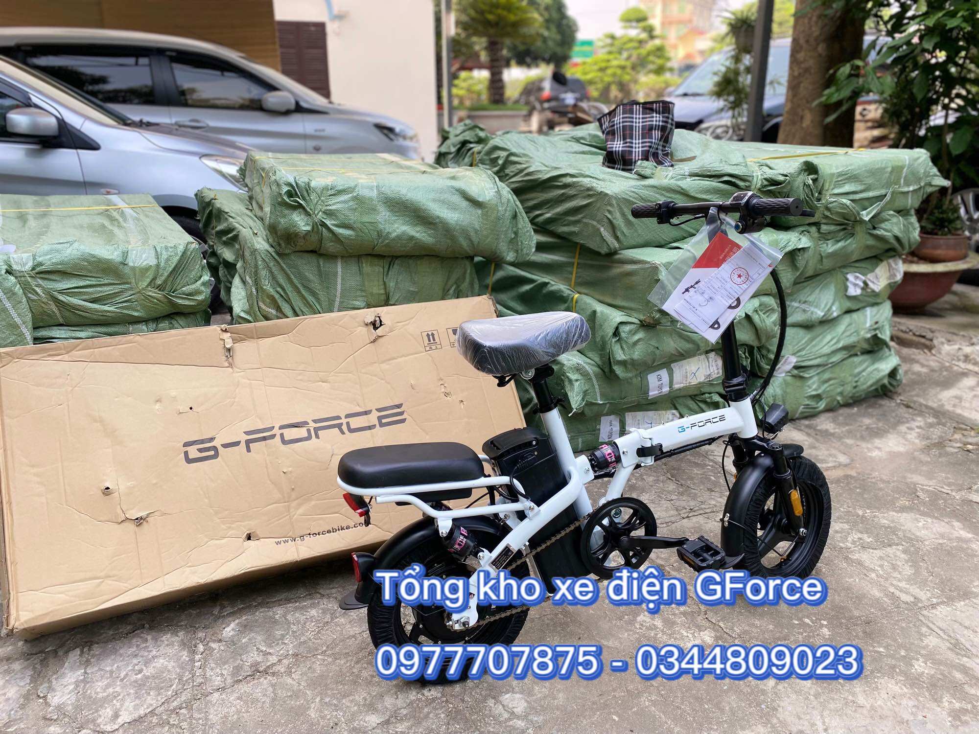 Xe Điện Gấp Gọn G-Force C14 Pro - Ảnh thật