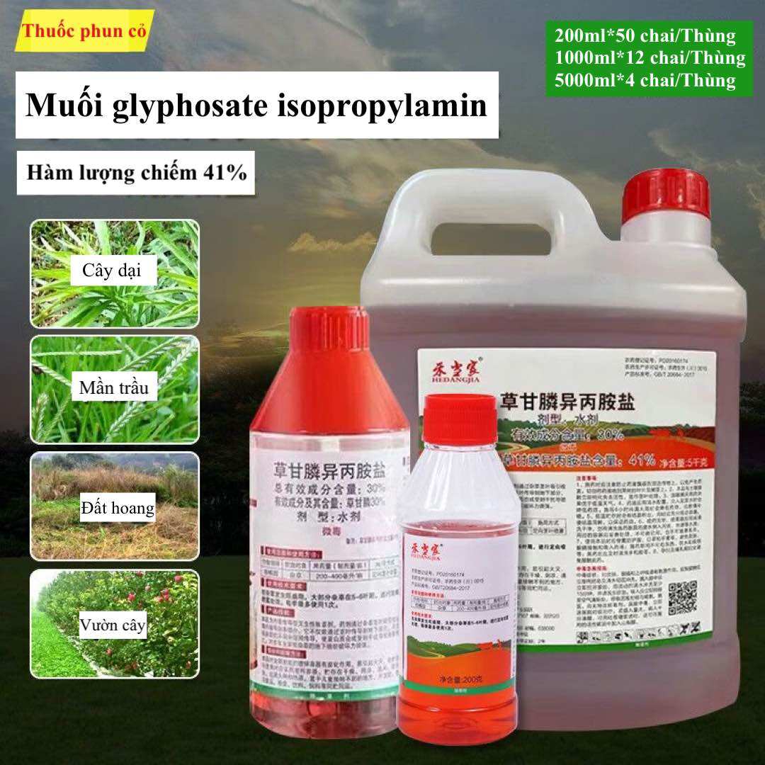 Thuốc phun cỏ dại lưu dẫn, muối glyphosate isopropylamin, cỏ dại thối rễ Trung Quốc 200ml