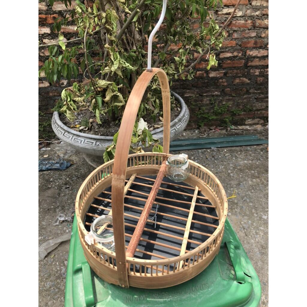 Lồng trần cu gáy (tặng kèm xích chân)