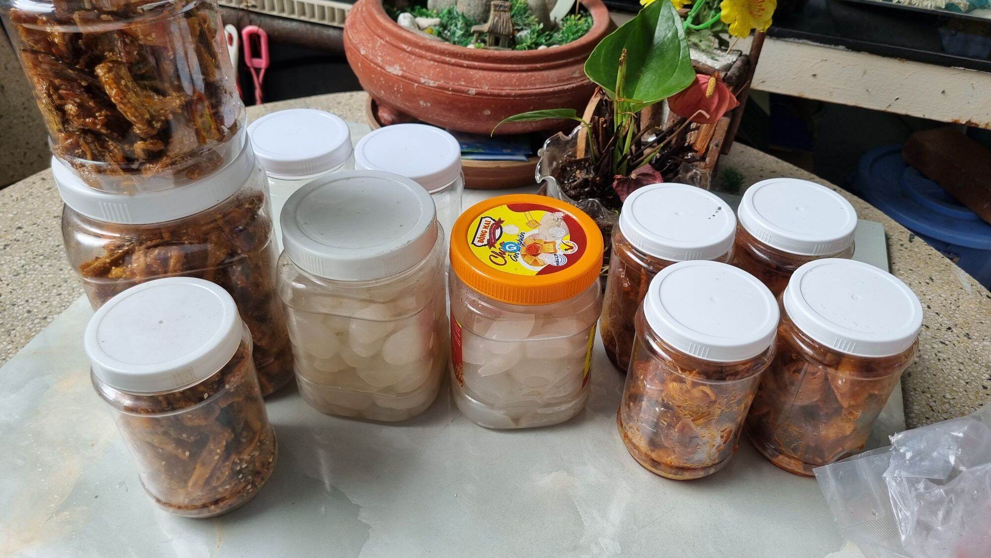 Hạt đác rừng tươi Phú Yên