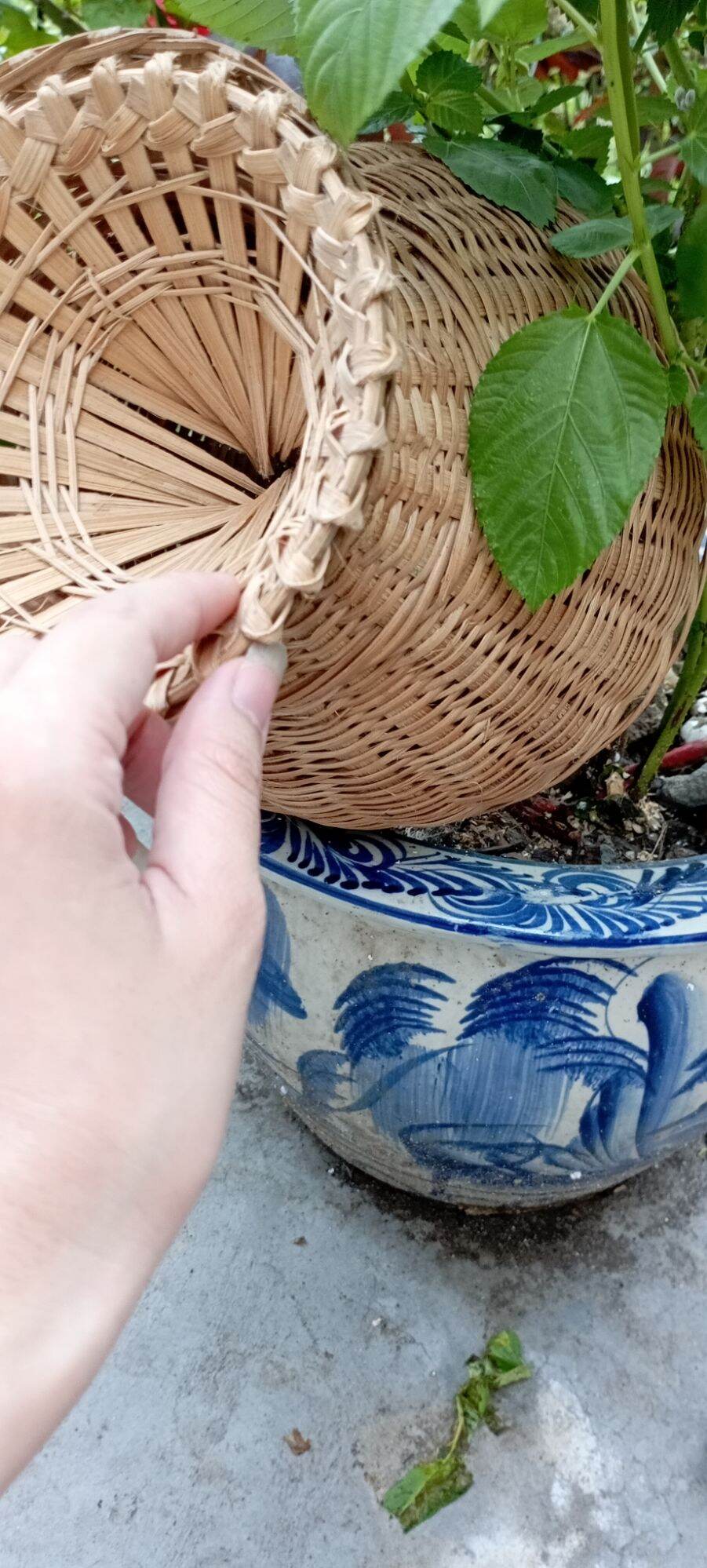 giỏ đựng bắt tôm cua cá derco trang trí 21cm