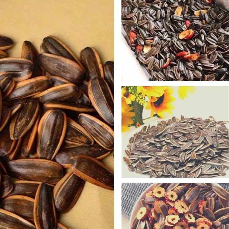 Hạt hướng dương tẩm vị Huaweiheng các vị hạt bồ đào, vị kem, vị caramel gói 500g