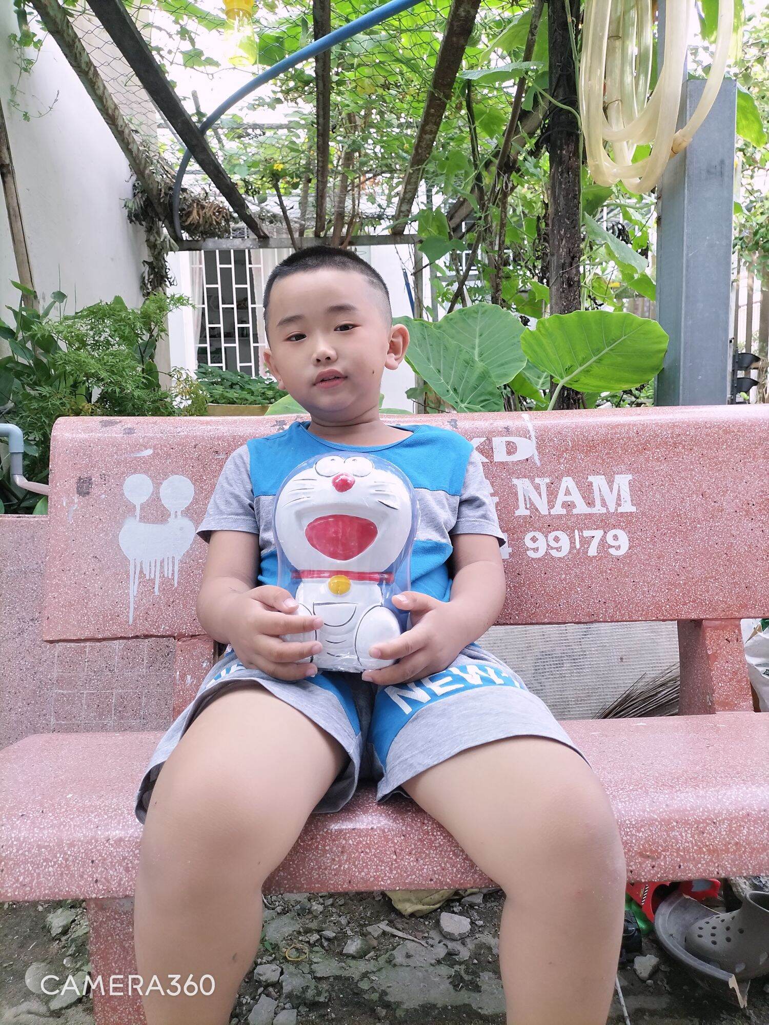 Heo đất Đô rê mon cao 25cm