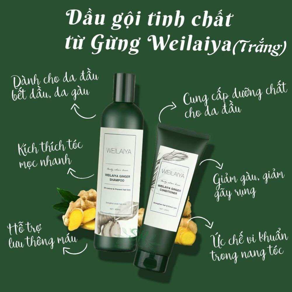 Cặp gội xả gừng tinh chất hà thủ ô welaiya