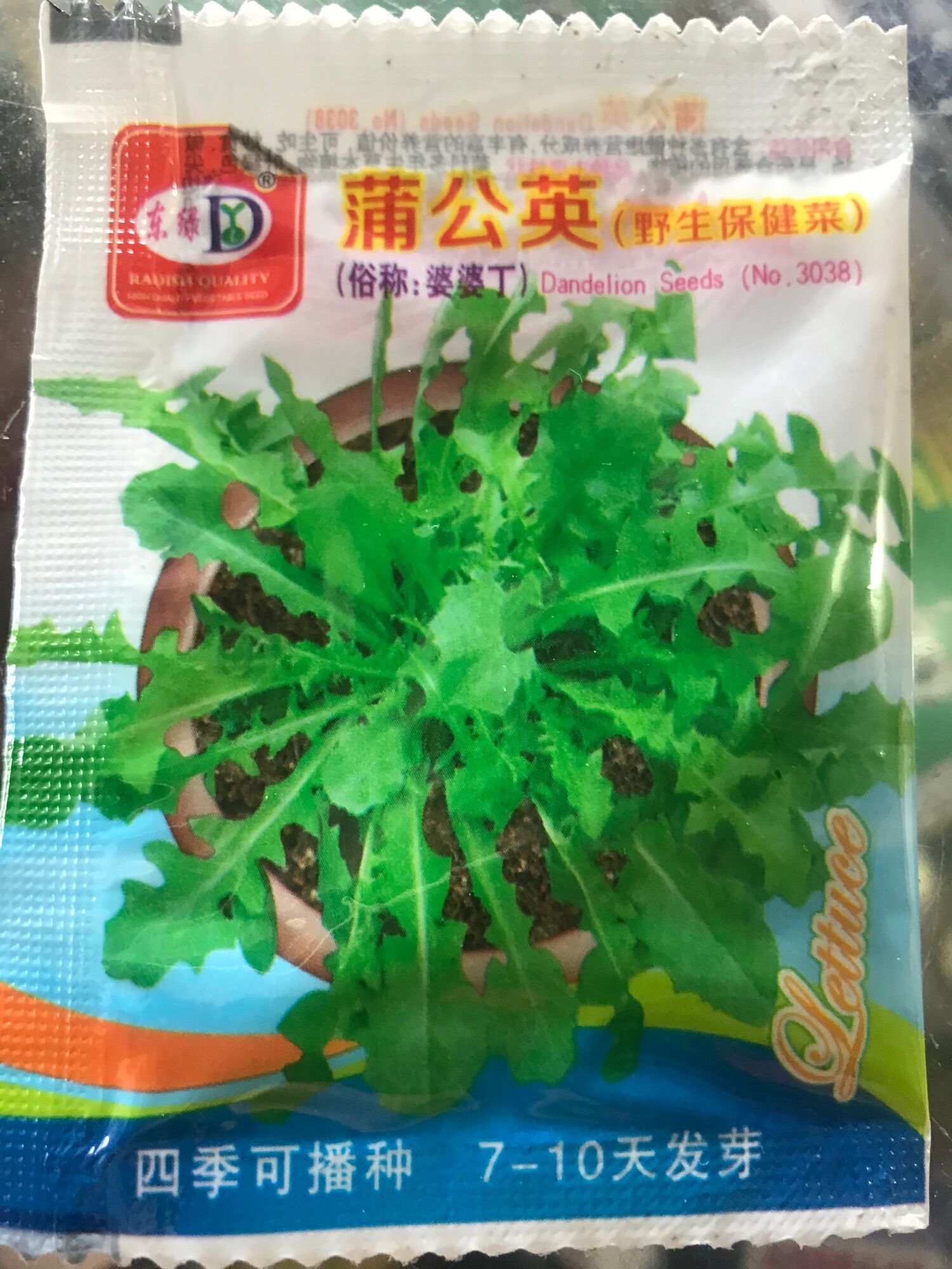 Gói 500 hạt Bồ công anh lùn hoa vàng giống TQ chuẩn