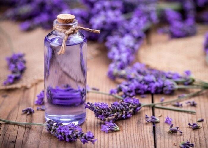 Tinh Dầu Treo Xe, Tinh dầu Treo Hương Lài Oải Hương Hoa Hồng Tinh Dầu Tràm Hoa Bưởi Bạc Hà Sả Chanh