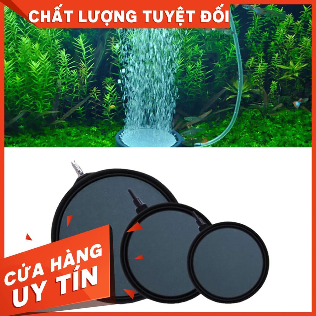 Đĩa sủi oxy siêu mịn cao cấp - Mr Fish