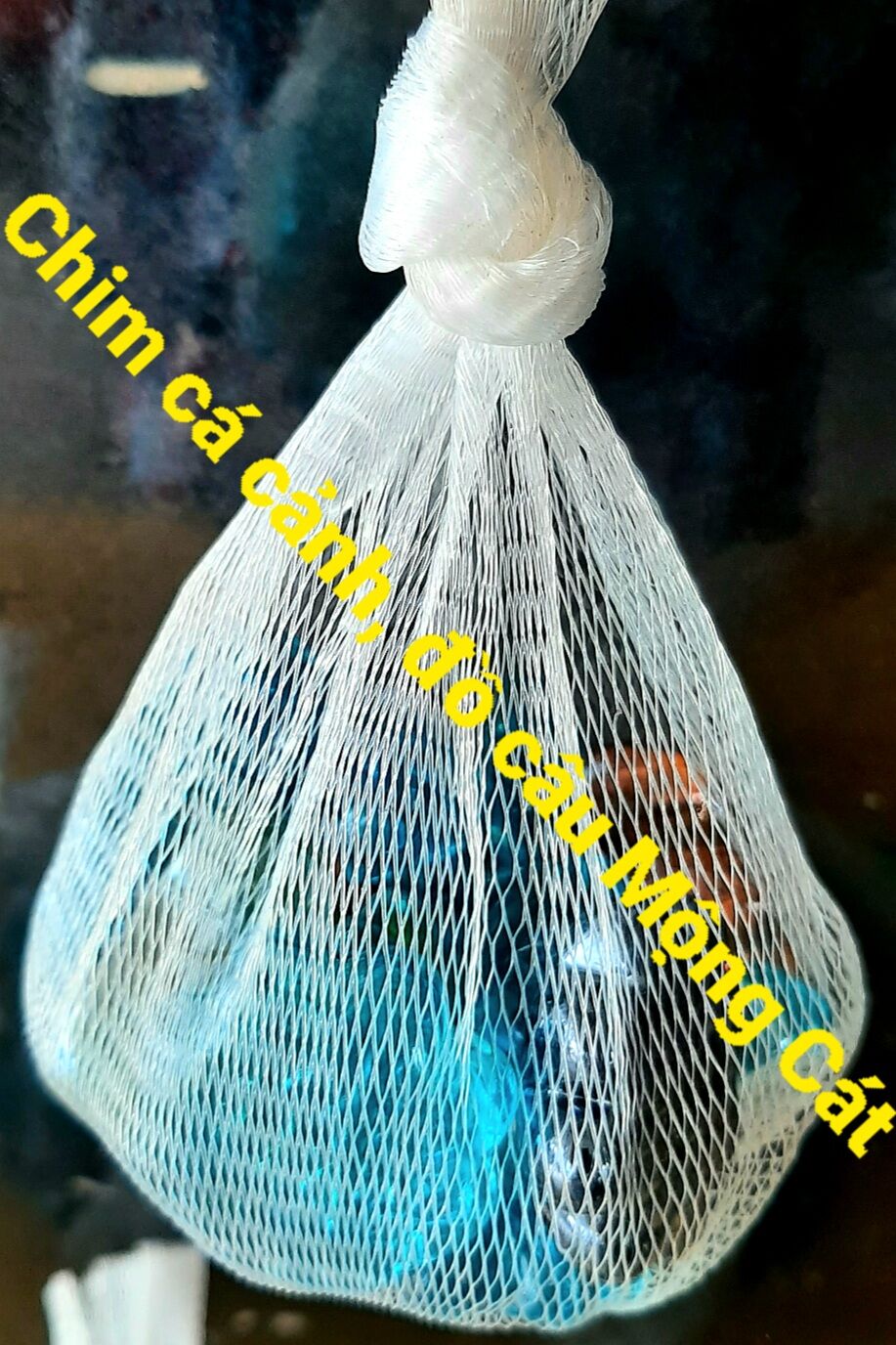 Sỏi màu trang trí hồ cá, chậu cây cảnh (1 túi 250g)