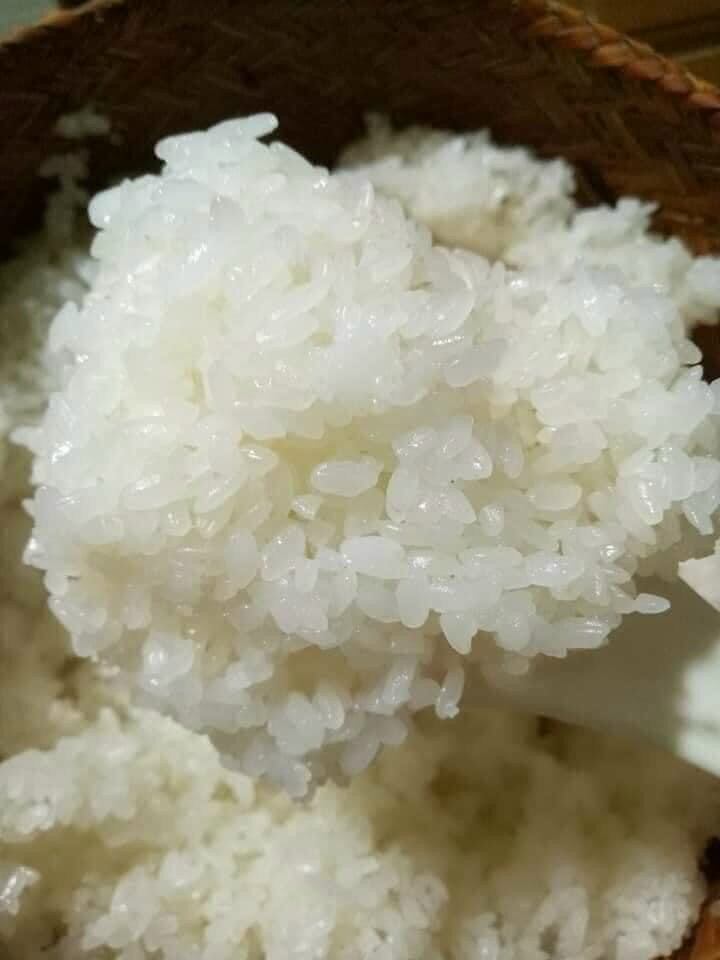 nếp nương Lào