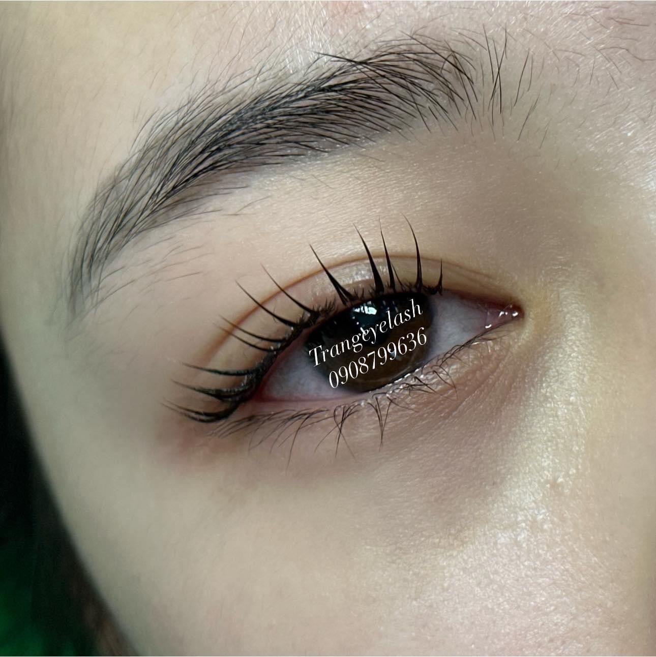 Uốn mi nhanh glady