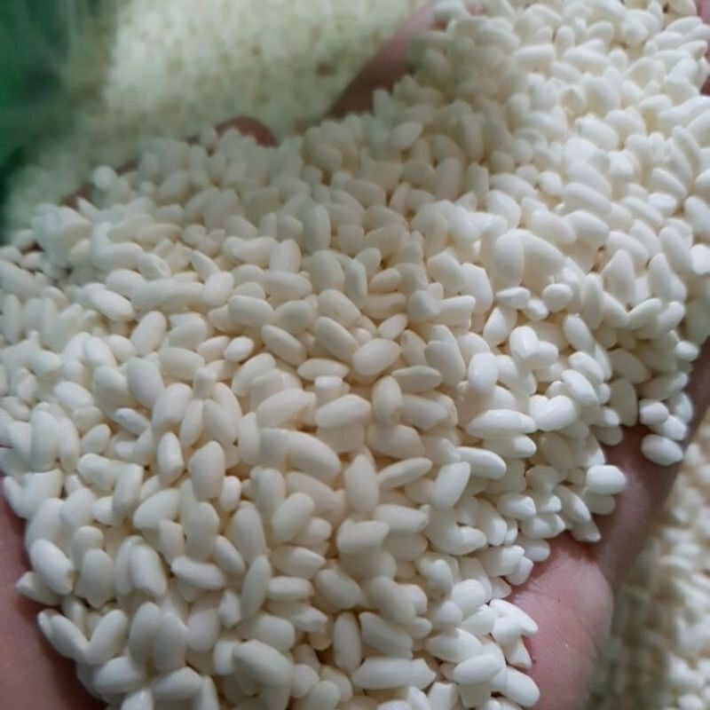 Gạo nếp Bắc Thơm dẻo Túi 1kg