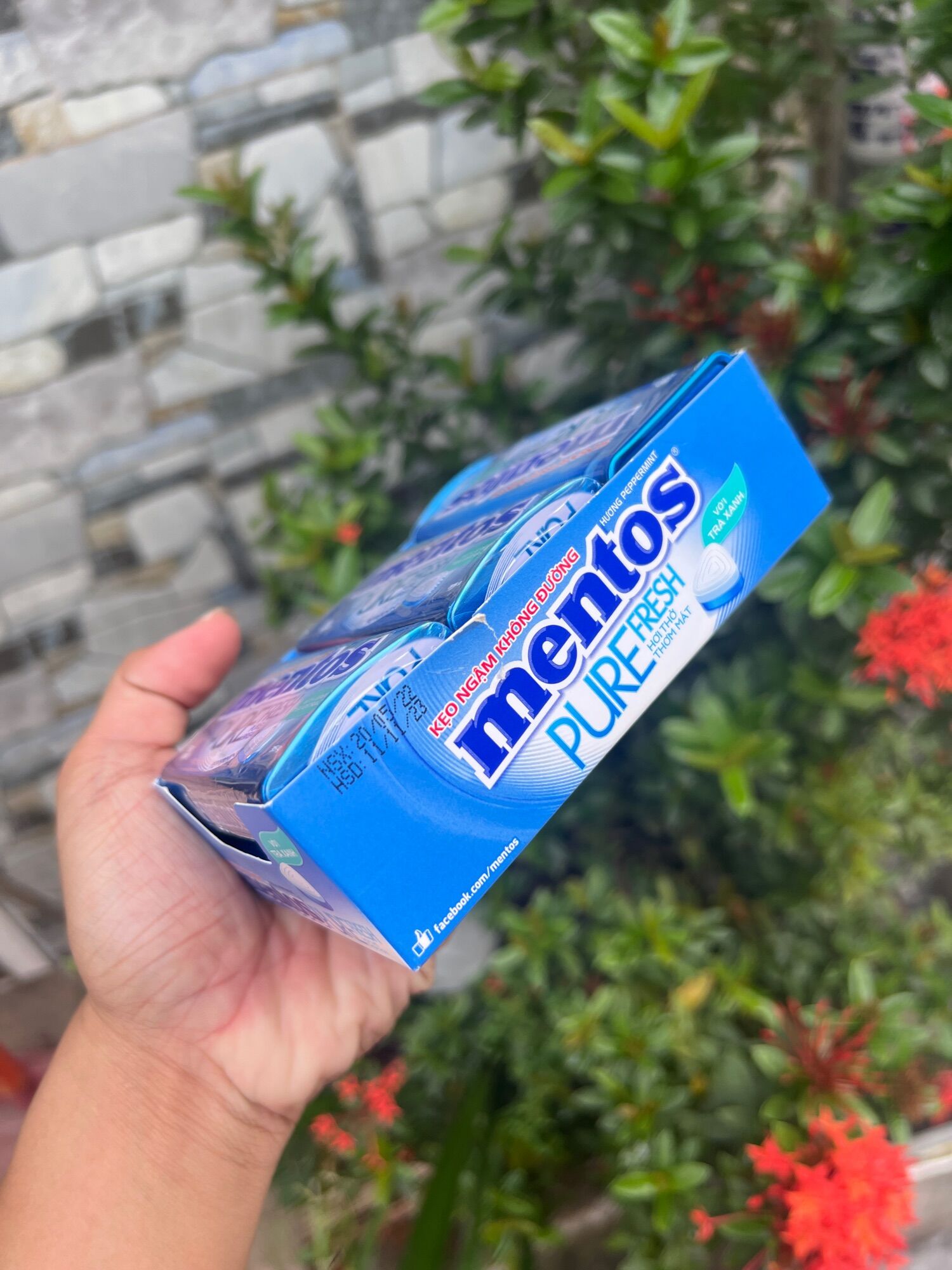 Kẹo ngậm mentos 6 lọ×35g