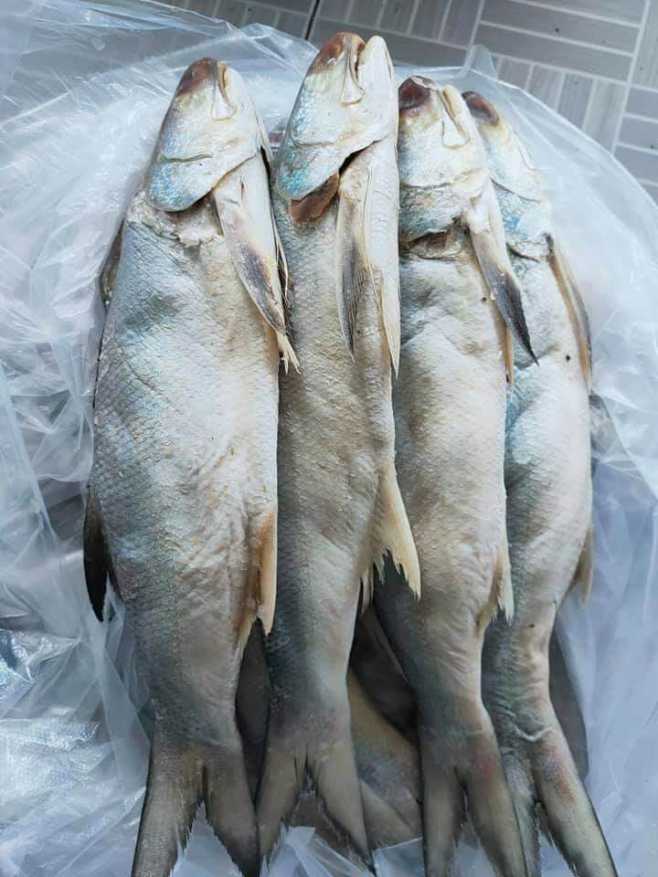 1kg khô cá chét bao mặn đặc sản cà mau