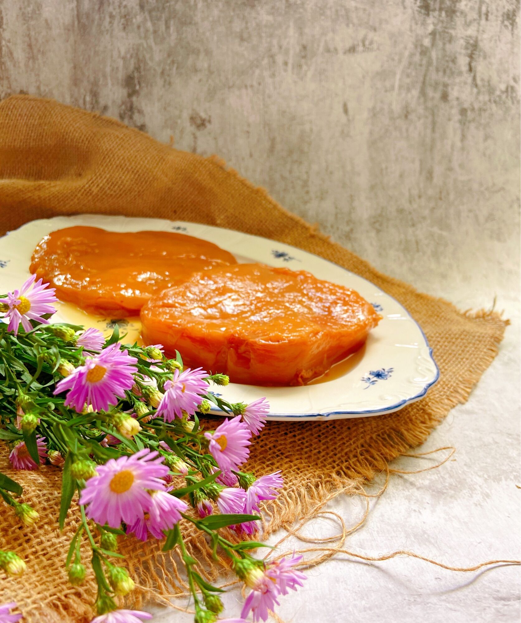 Nấm thuỷ sâm scoby (siêu dày 4cm size 17cm)