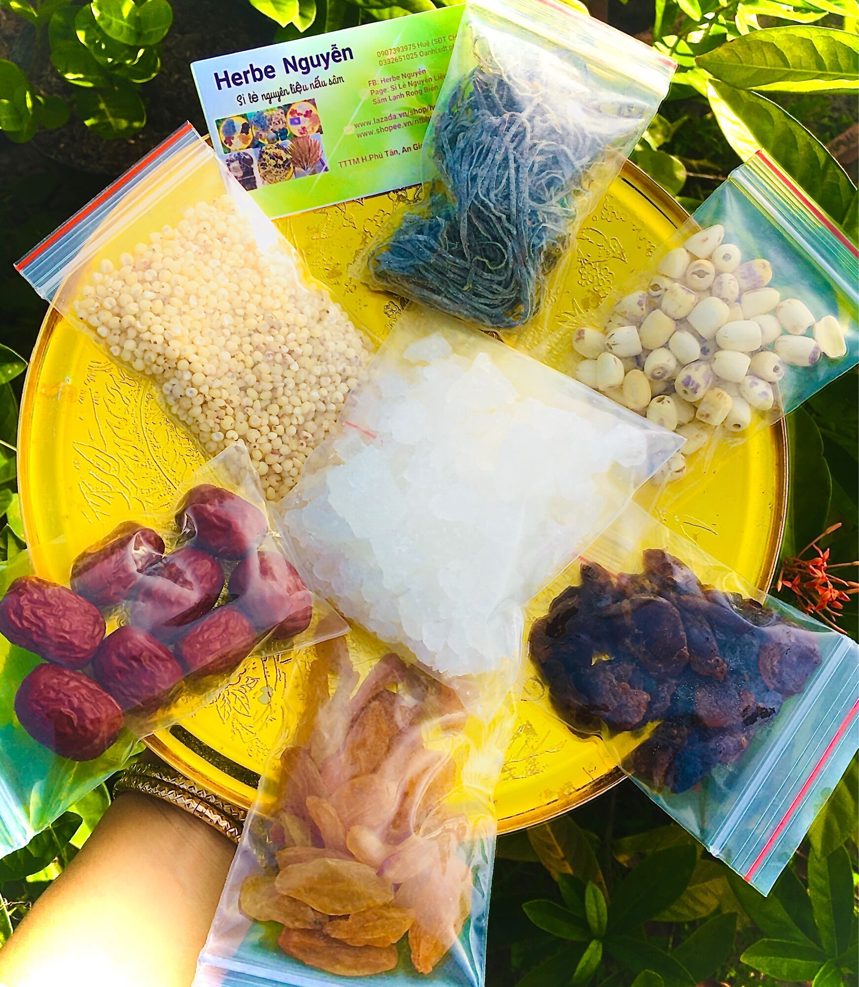 Sâm bổ lượng 7 vị set nấu 5 người ăn