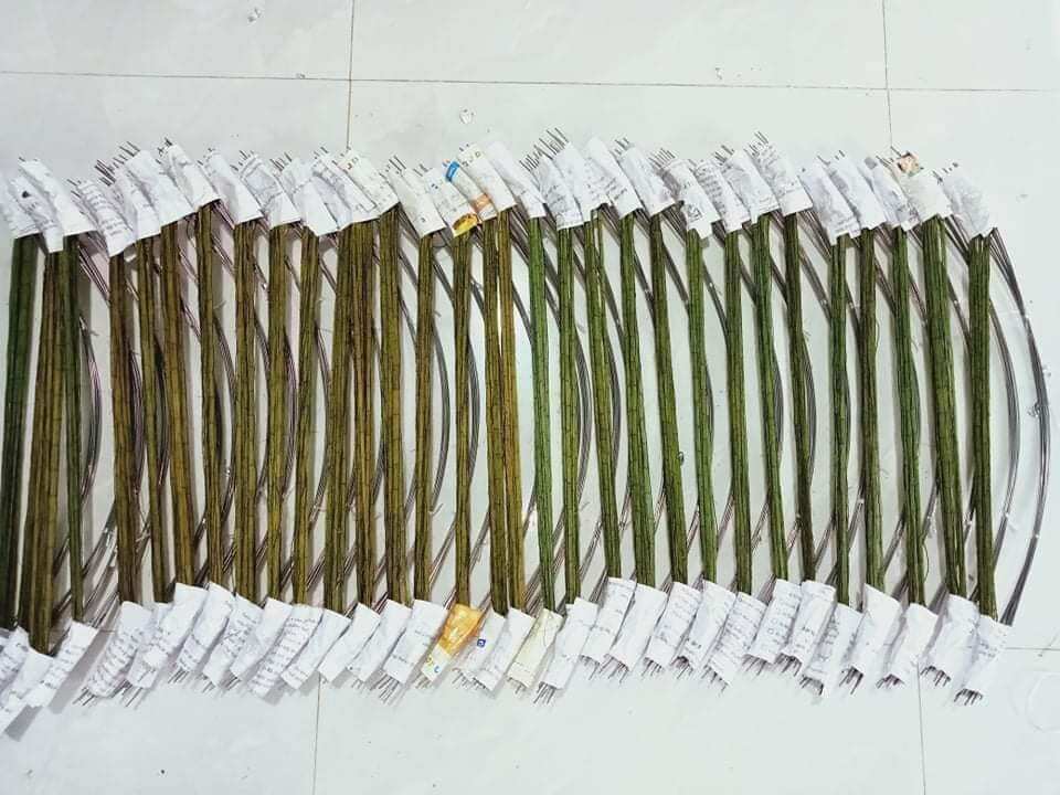 Cung bẫy cút gồm 10 cung