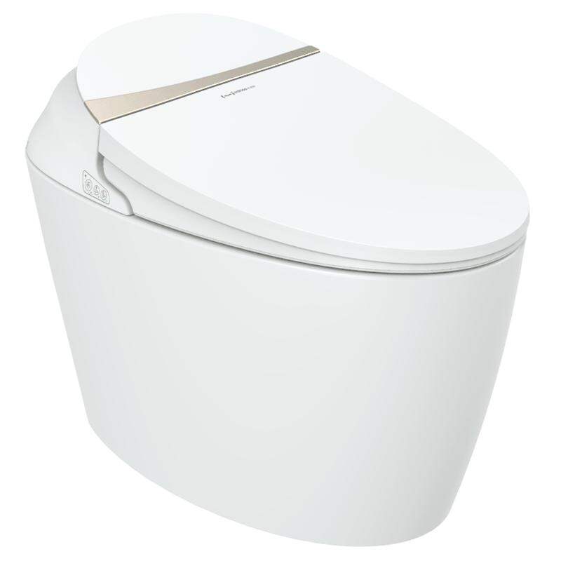 Colonic Irrigation Toilet Seat
