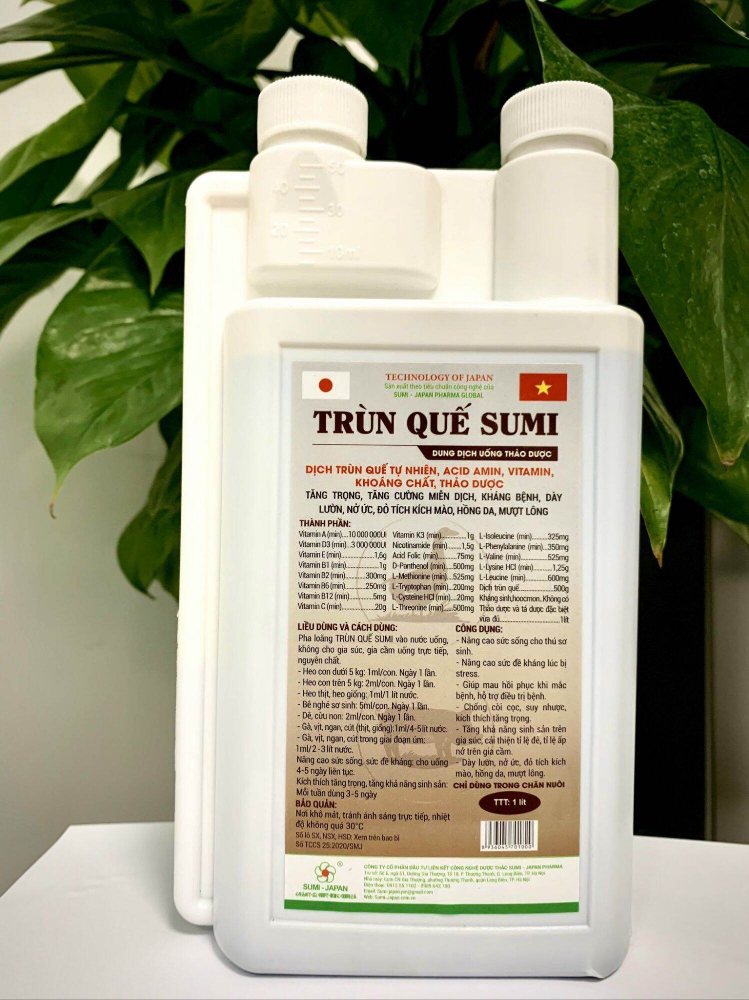 Trùn quế Sumi siêu tăng trọng