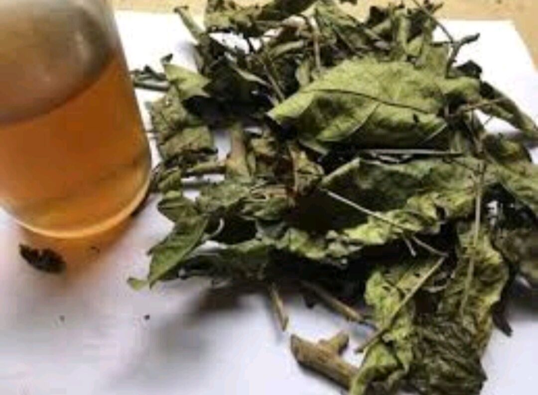 Xạ đen khô 500g