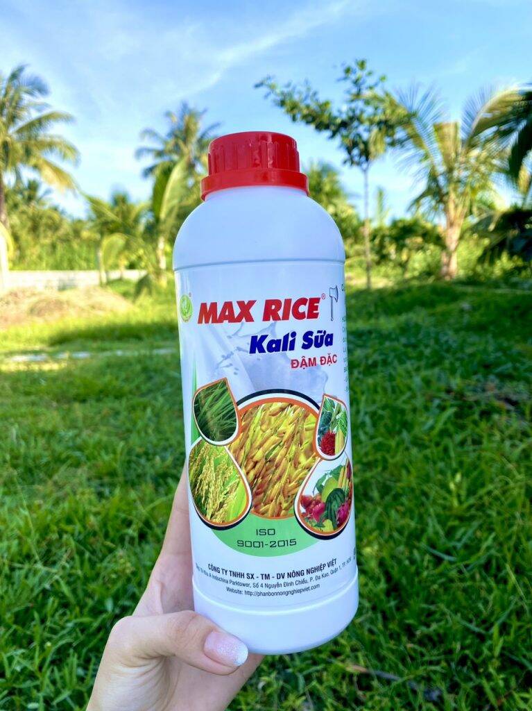 MAX RICE - KALI SỮA 1 lít - Phân bón NNV