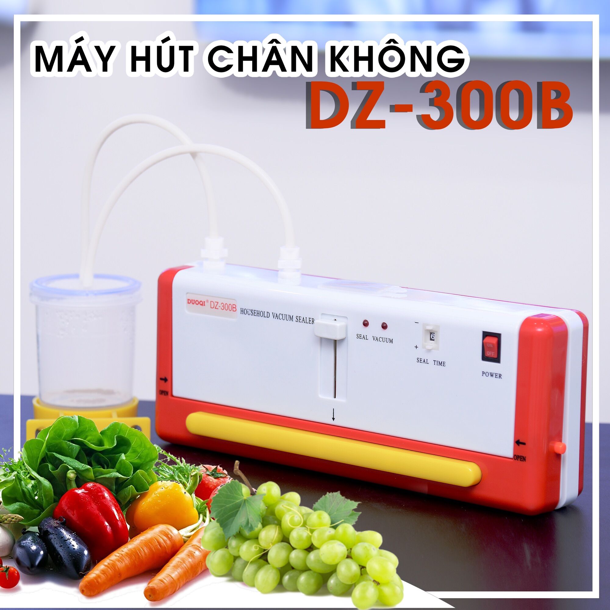 Máy hút chân không douqi dz300b