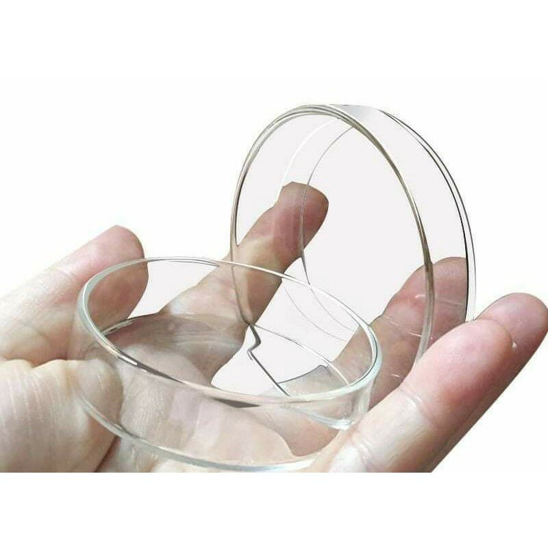 Chén đựng thức ăn cho tép cá cảnh