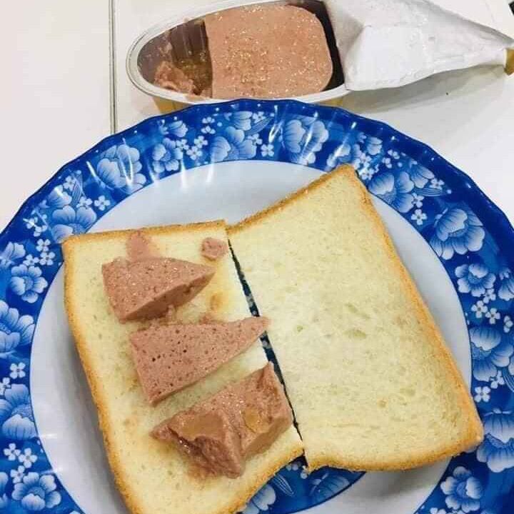 PATE GAN NGỖNG NGA 105G