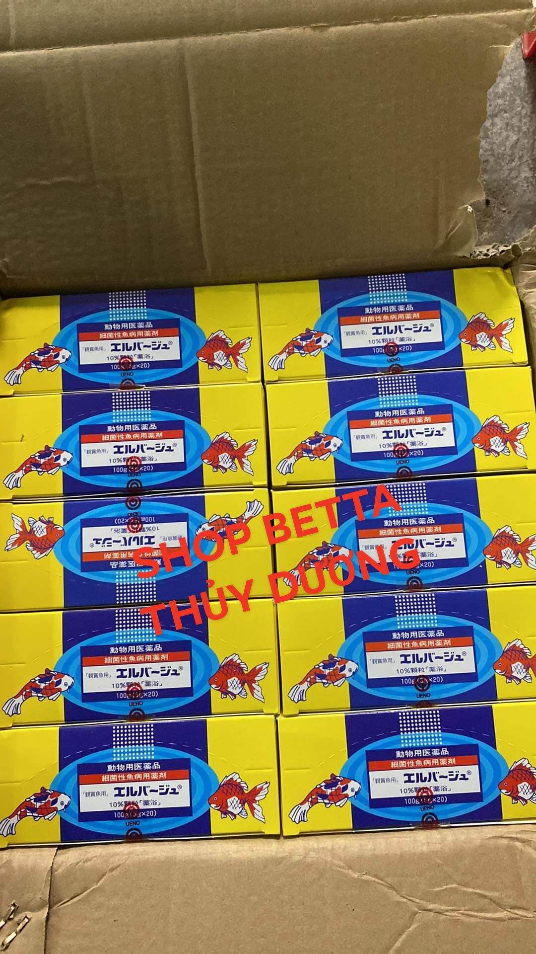 [ GIÁ SỈ ] TETRA NHẬT - HỘP 20 GÓI
