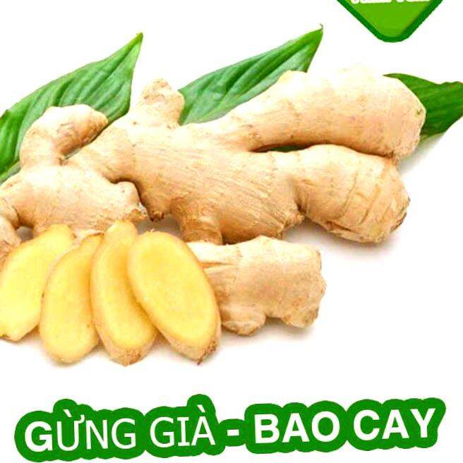 Gừng tươi 1kg