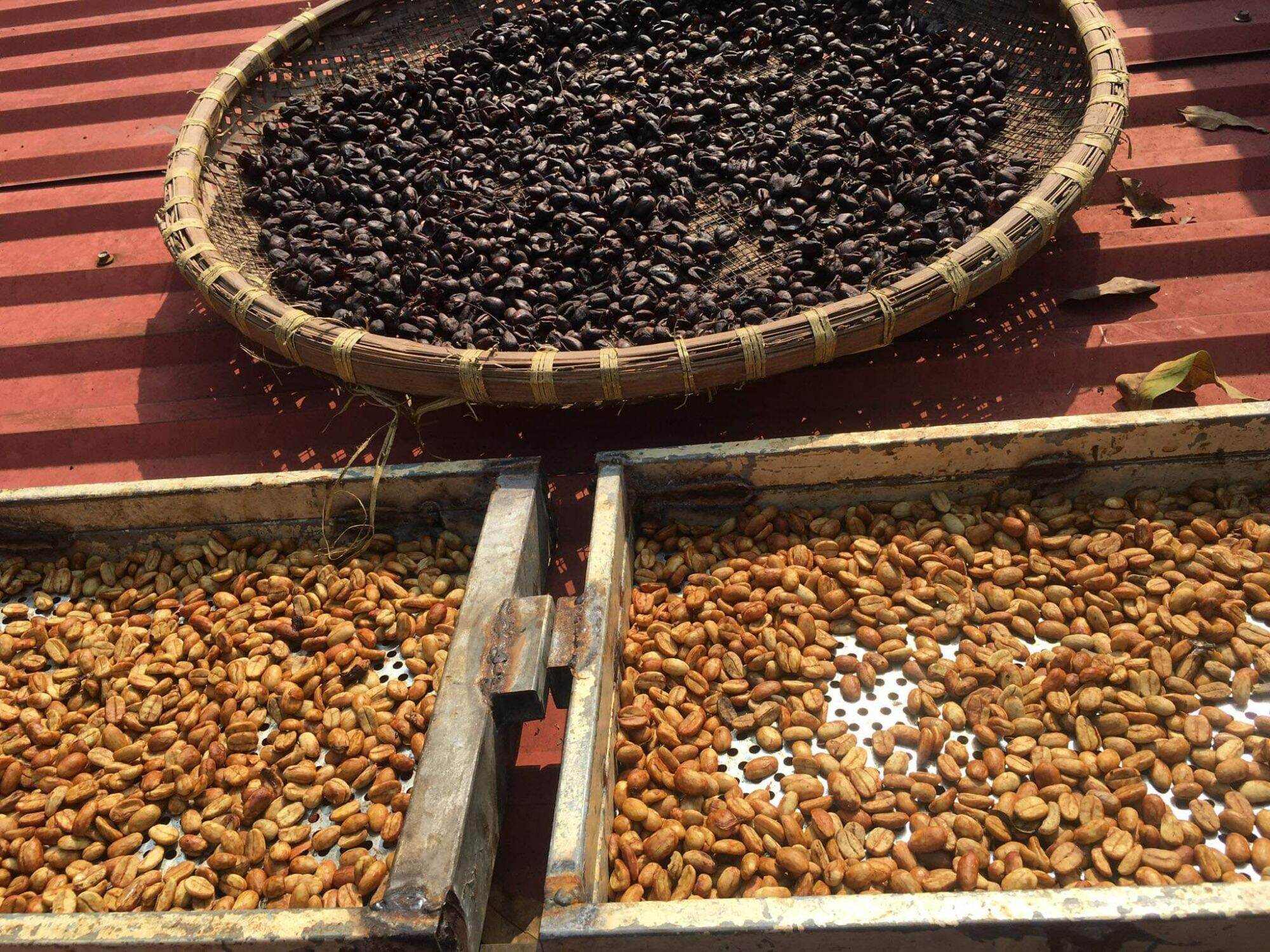 cà phê arabica honey mật ong
