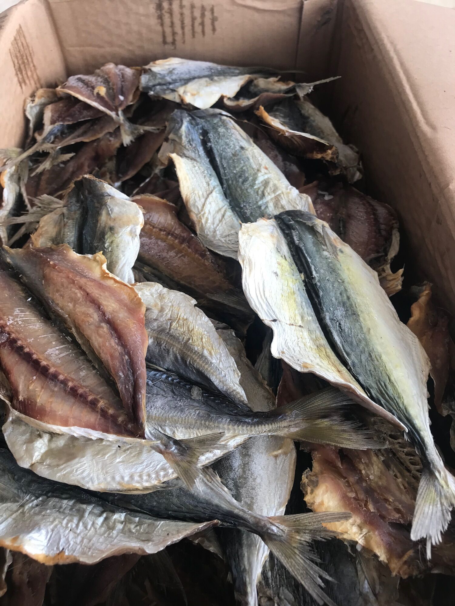 1kg cá bạc má nhà tự phơi, thịt chắc và thơm