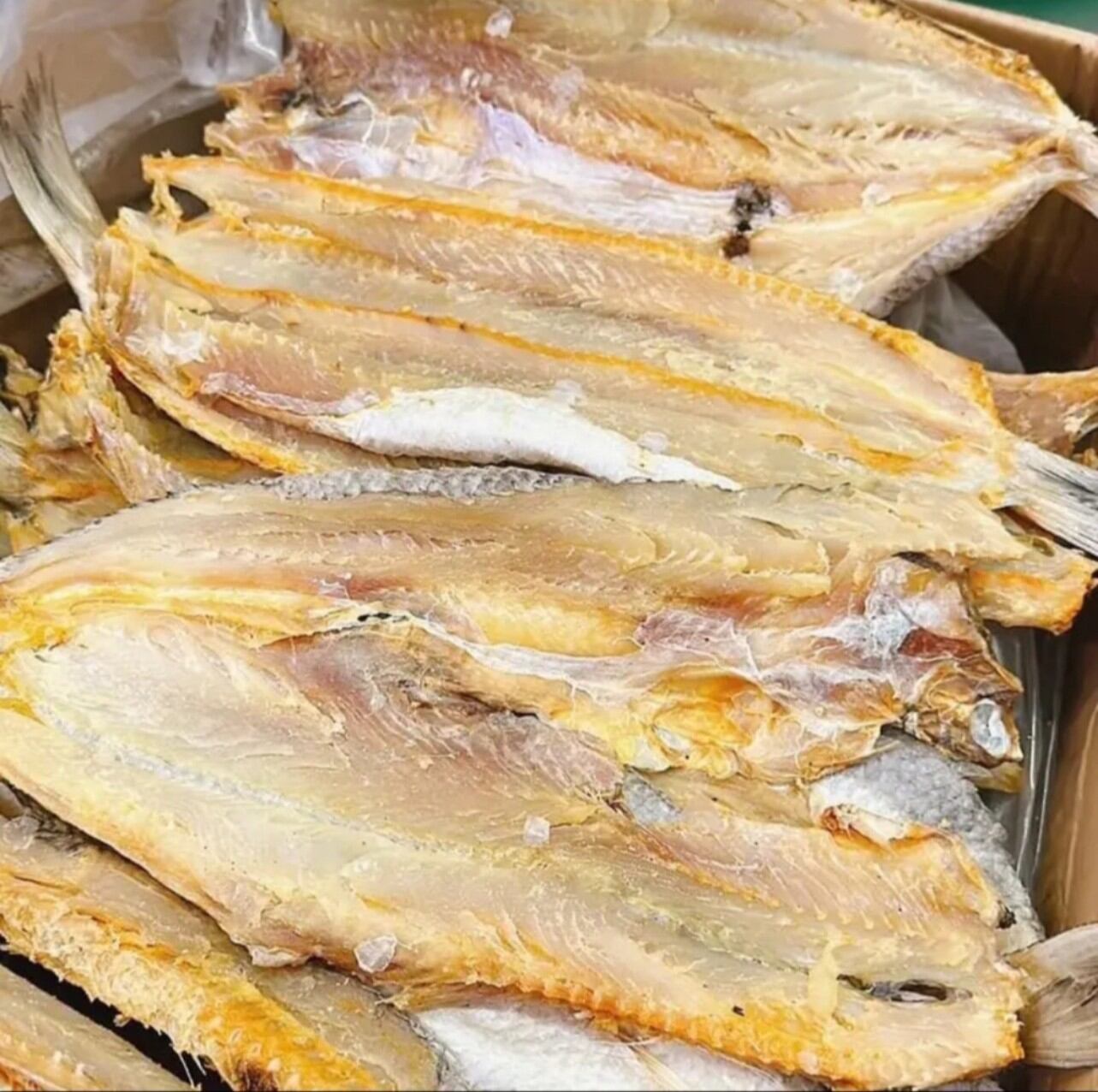 Khô Cá Mối Đóng Gói Hút Chân Không 500gr