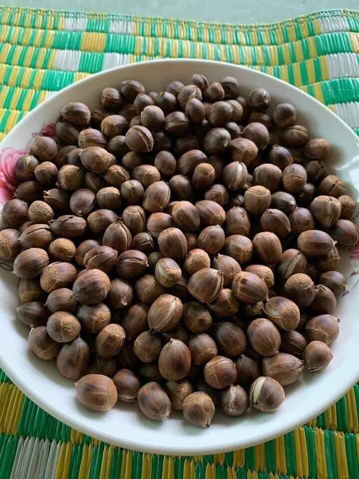 1kg hạt dẻ rừng tự nhiên