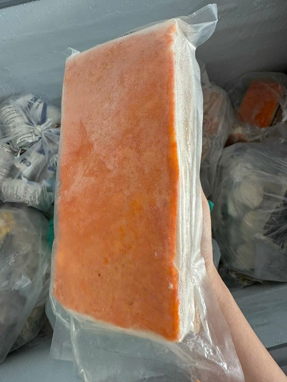 Heo quay chay 1kg tpc an tuệ