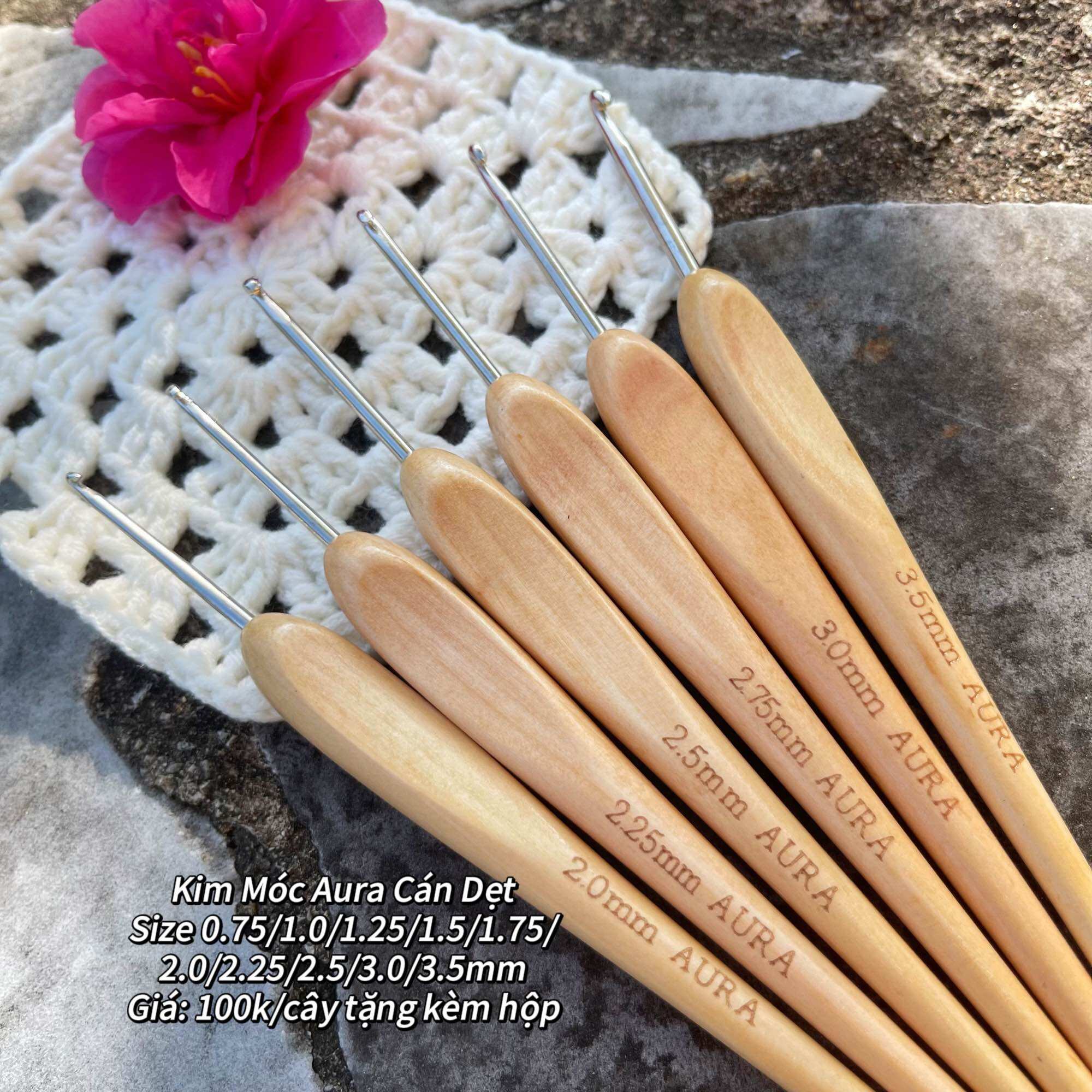 Kim Móc Aura Cán Dẹt, Gỗ Nhẹ