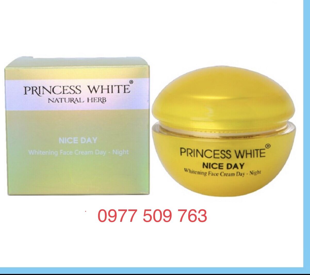 Kem Nice Day Dưỡng Trắng Da - Giữ Ẩm - Se Khít Chân Lông 22Gr - Princess White