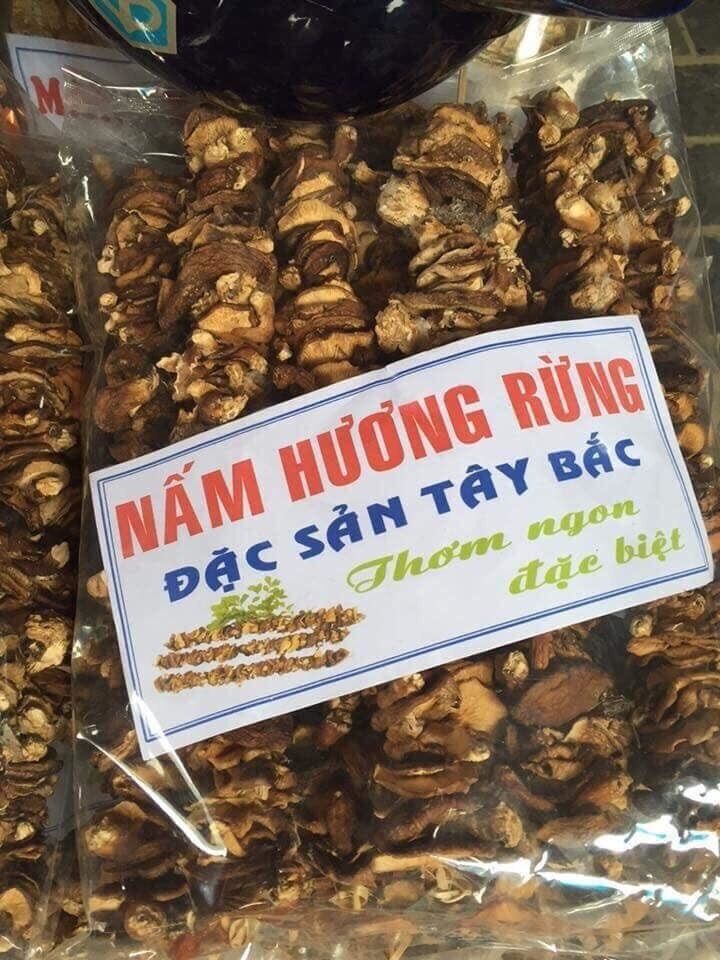 500gr Nấm Hương Rừng Tây Bắc