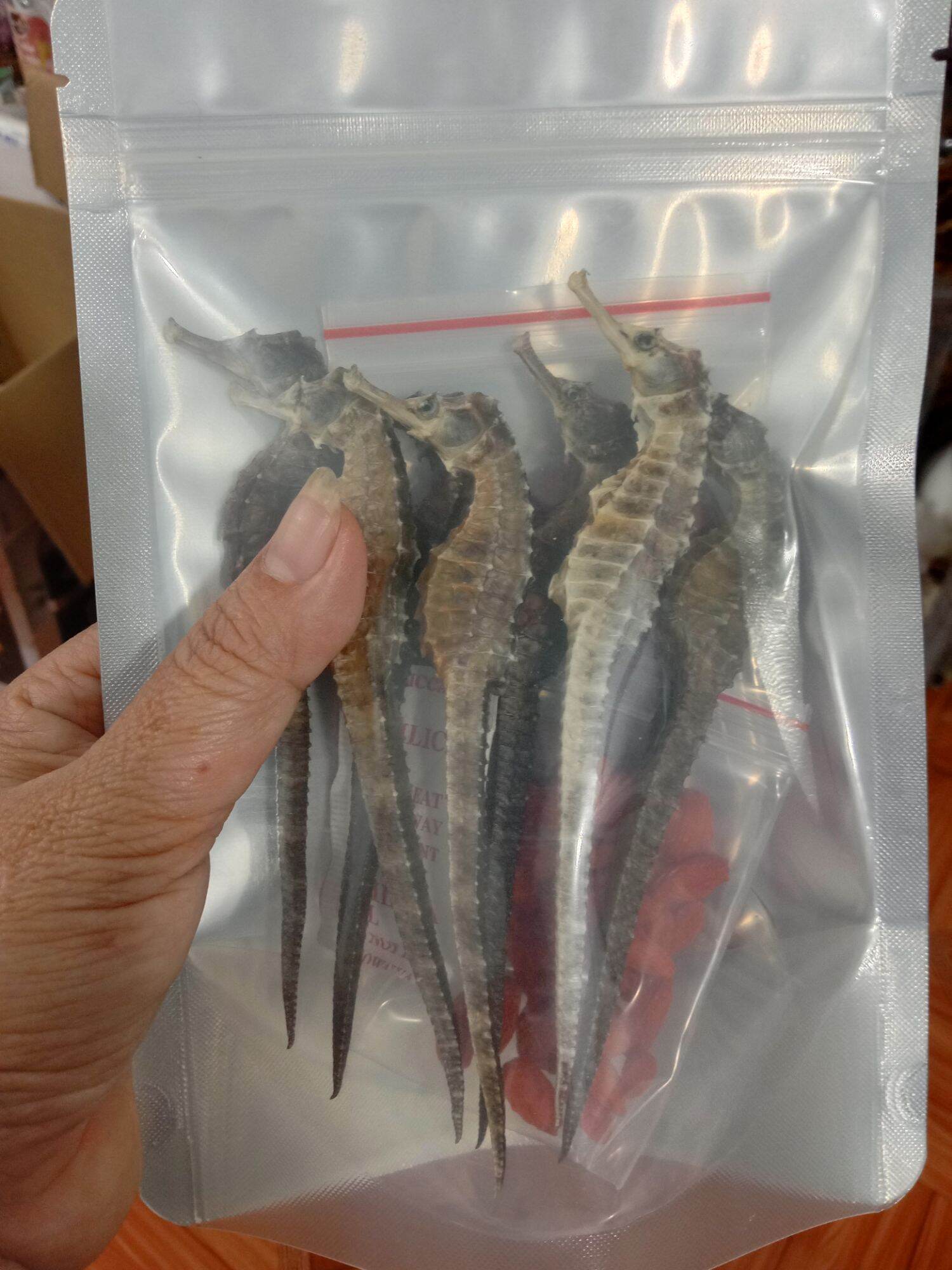 1 cặp cá ngựa khô dài 13cm(2 con)