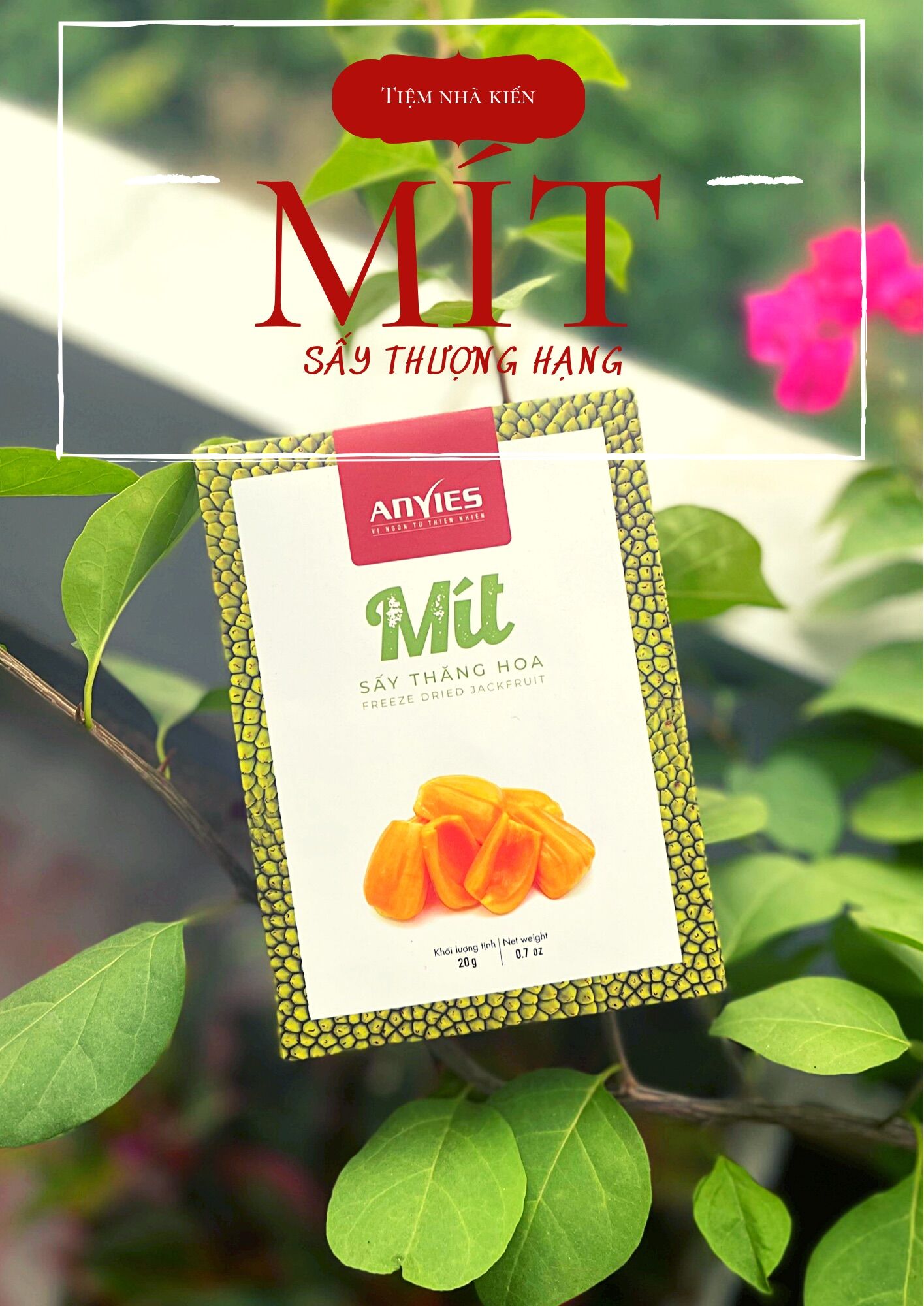 Mít sấy thăng hoa myco thượng hạng - 100% mít chín tự nhiên