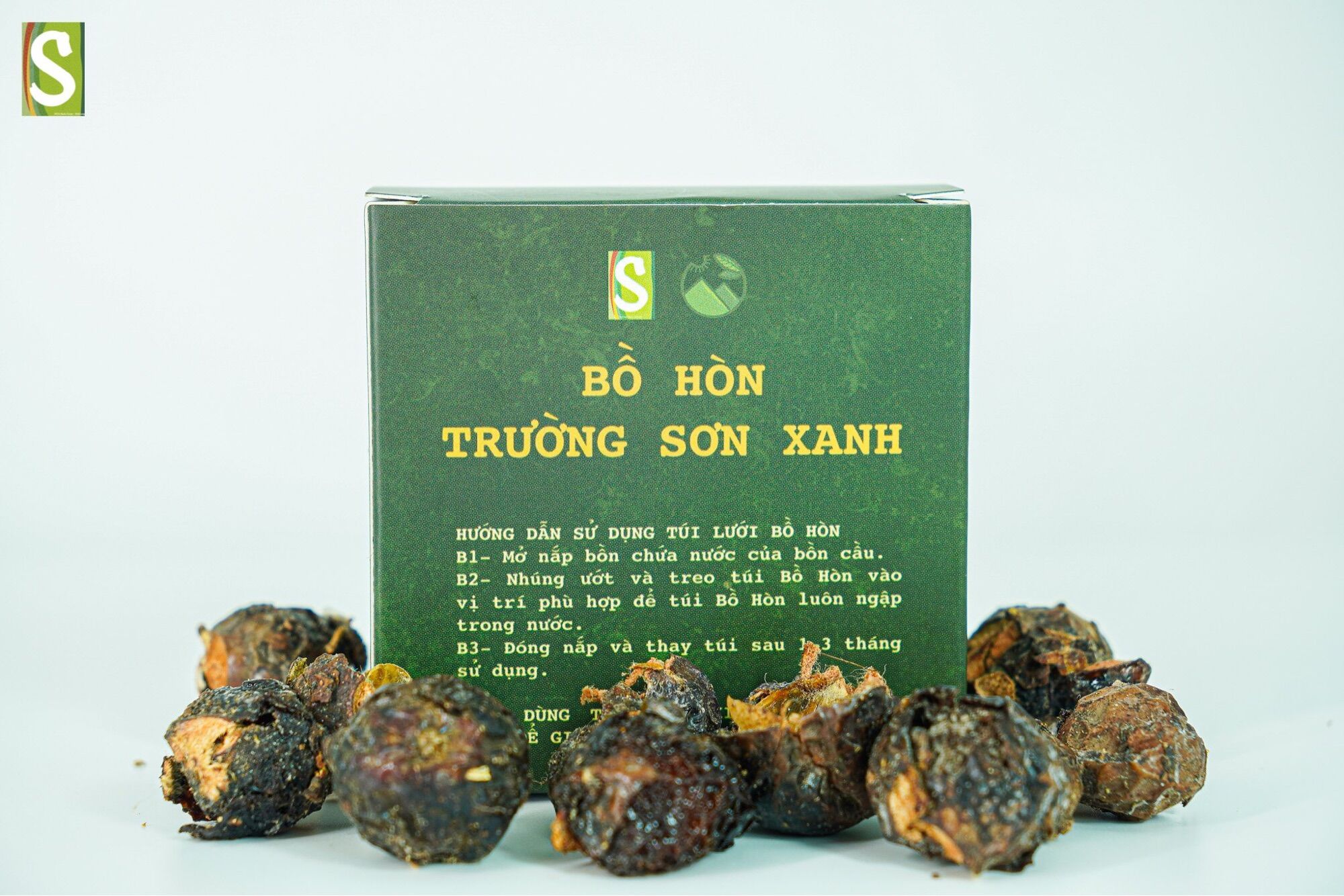 Bồ hòn Trường Sơn Xanh