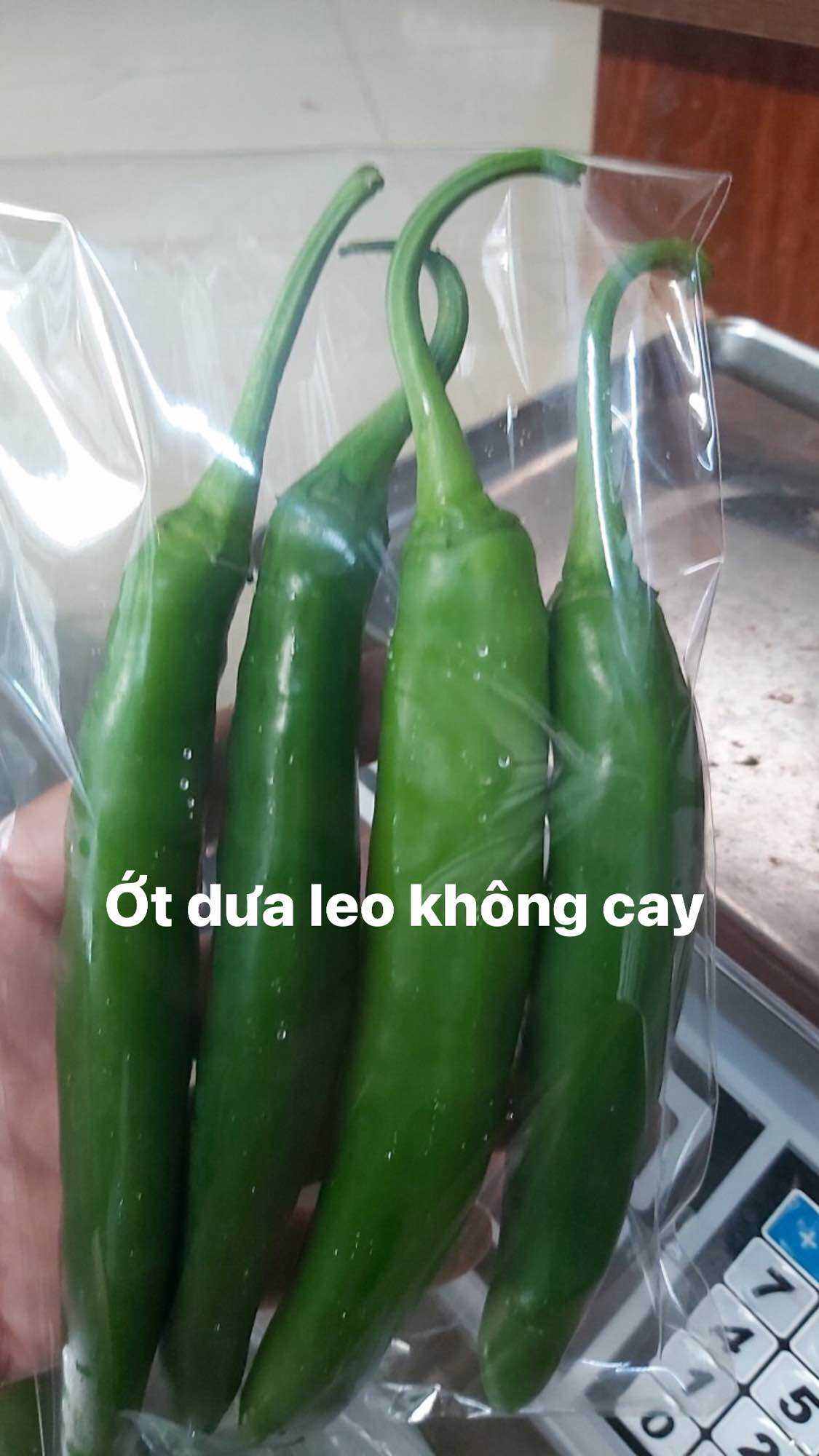 Ớt dưa leo Hàn quốc( gói 100gr)