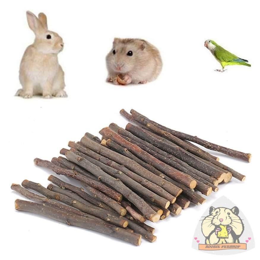 Cành táo mài răng hamster, thỏ, bọ, vẹt,...