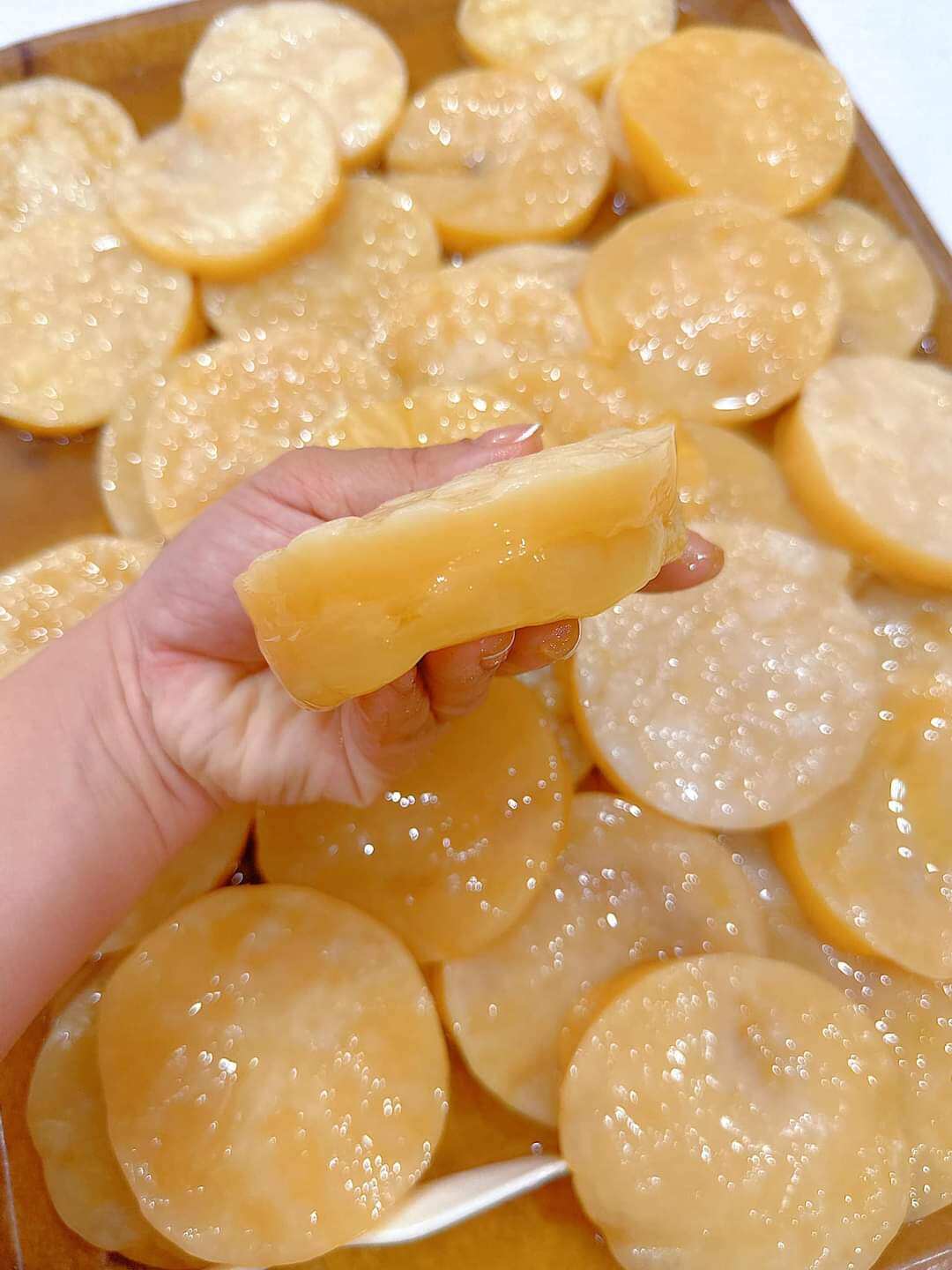 ComBo SCOBY/ KOMBUCHA Đầy Đủ Làm Trà Kombucha