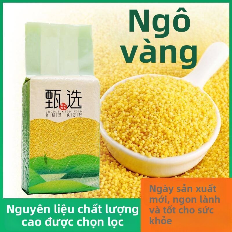 YUEHUARONG | Gạo Lứt Vàng Đông Bắc Nội Mông cho Bé và Bà Bầu Nấu Ăn