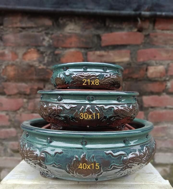 Chậu tròn trồng cây bonsai