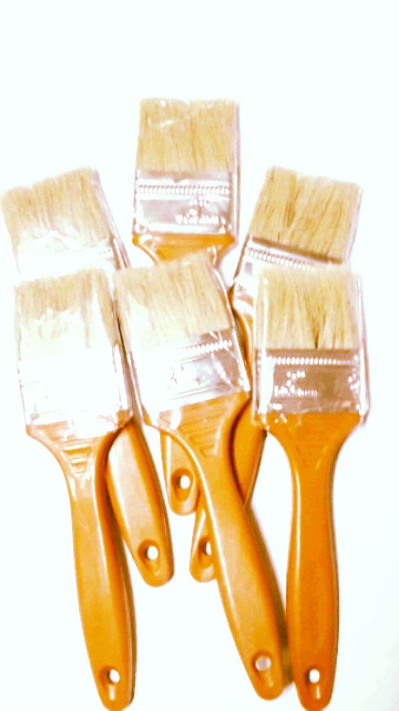 Cọ sơn nhựa - 6 cây x 1 lốc...