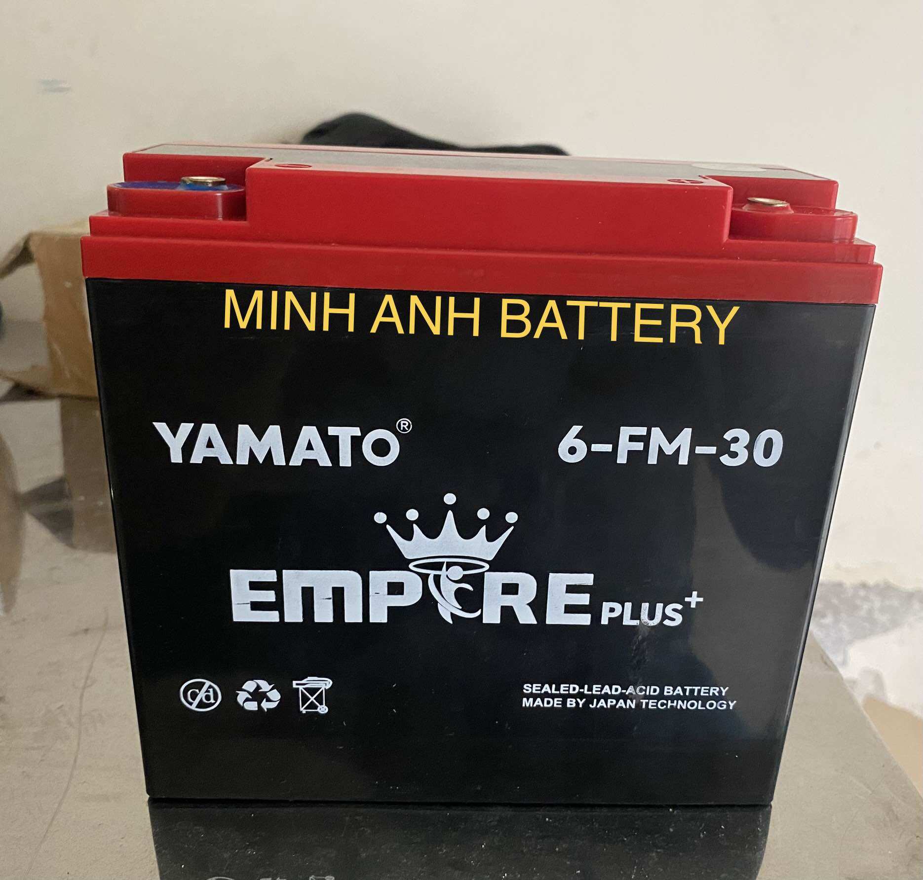 Ắc quy xe máy điện yamato 12v-30ah 6-fm-30 empire plus+