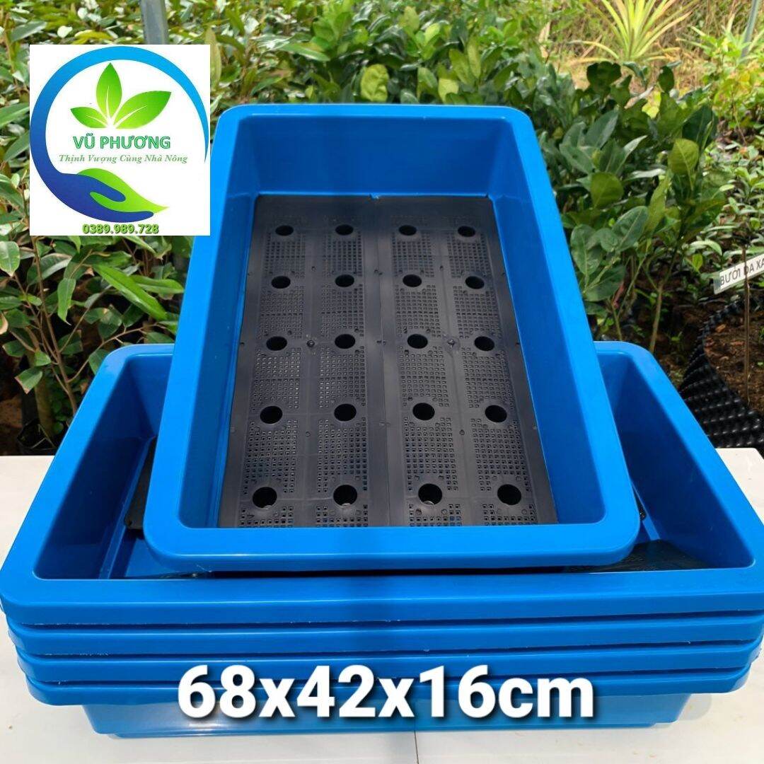 Khay Trồng Rau Sân Thượng - Khay Nuôi cá - Khay Trồng Thủy Canh- Kích thước 68x42x16cm